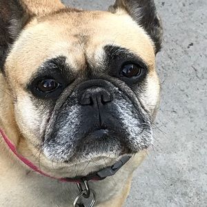 Meet your Posher, Karina